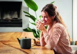 Bredemeijer Duet Design Boston Theepot 1,1 Liter Grijs -Thee En Koffie bredemeijer duet design boston theepot 1 1 liter grijs 3