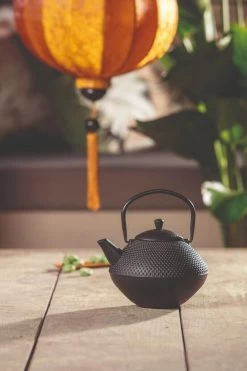 Bredemeijer Xinjang Theepot 1 Liter Gietijzer Zwart -Thee En Koffie bredemeijer xinjang theepot 1 liter gietijzer zwart 3